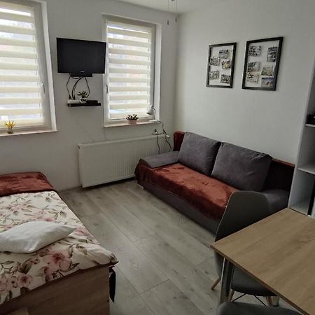 Appartement Apartament "Jelen" Jelenia Góra Extérieur photo